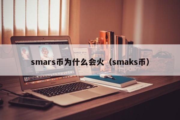 smars币为什么会火（smaks币）