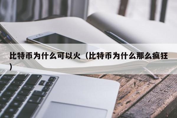 比特币为什么可以火（比特币为什么那么疯狂）