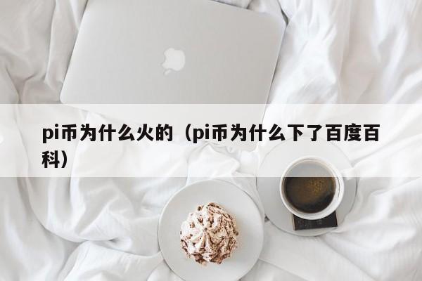 pi币为什么火的（pi币为什么下了百度百科）