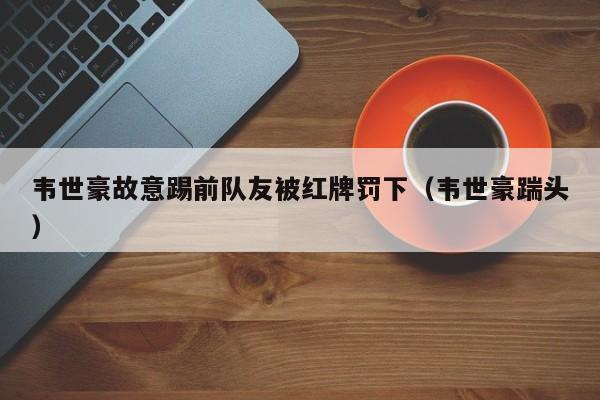 韦世豪故意踢前队友被红牌罚下（韦世豪踹头）