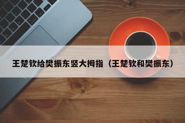 王楚钦给樊振东竖大拇指（王楚钦和樊振东）