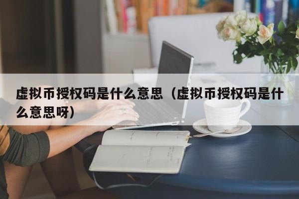 虚拟币授权码是什么意思（虚拟币授权码是什么意思呀）