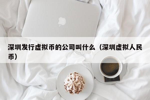 深圳发行虚拟币的公司叫什么（深圳虚拟人民币）