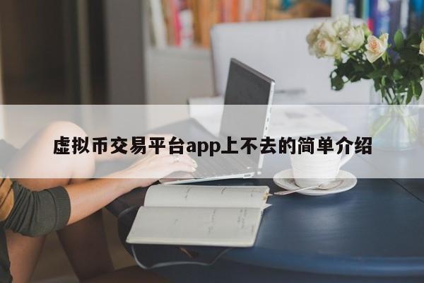 虚拟币交易平台app上不去的简单介绍