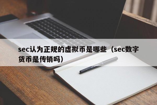 sec认为正规的虚拟币是哪些（sec数字货币是传销吗）