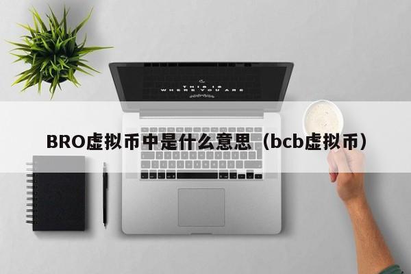 BRO虚拟币中是什么意思（bcb虚拟币）