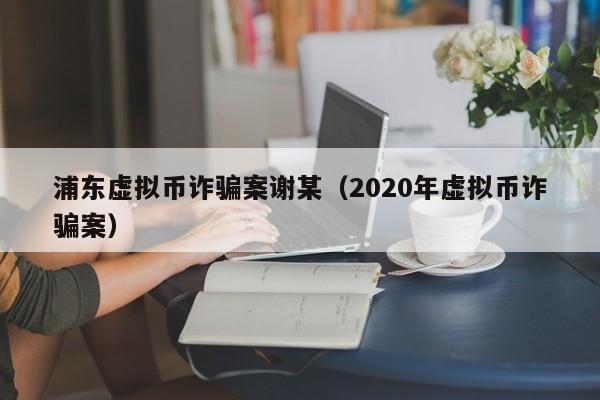 浦东虚拟币诈骗案谢某（2020年虚拟币诈骗案）