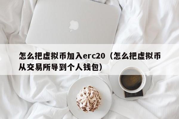 怎么把虚拟币加入erc20（怎么把虚拟币从交易所导到个人钱包）