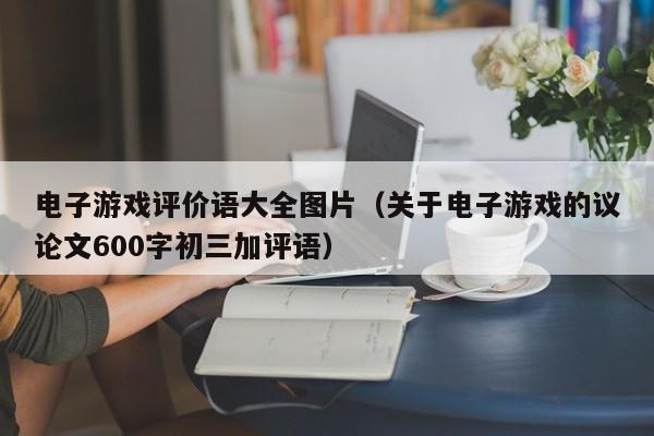 电子游戏评价语大全图片（关于电子游戏的议论文600字初三加评语）