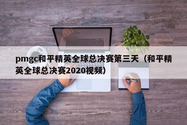 pmgc和平精英全球总决赛第三天（和平精英全球总决赛2020视频）